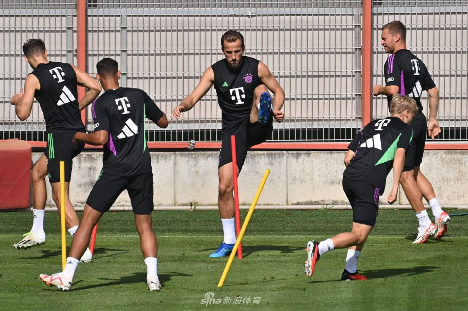 引擎中排名 引擎中排名